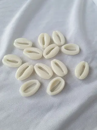 Classic Cowrie Shells (White)