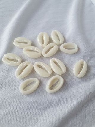 Classic Cowrie Shells (White)