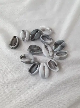 Marbled Cowrie Shells (Grey/White Mix)