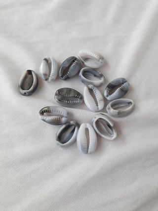 Marbled Cowrie Shells (Grey/White Mix)