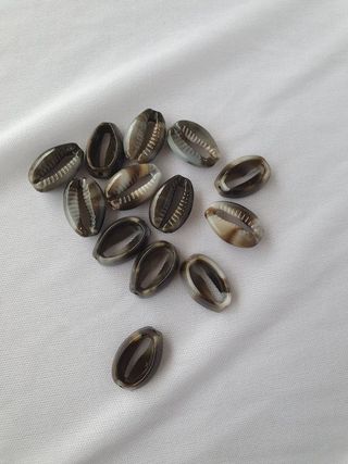 Smoky Cowrie Shells (Brown/Black Mix)