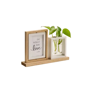 PLANT CADRE PHOTO ROTATIF  AVEC PLANTE ARTIFICIELLE