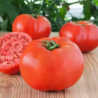 Organski Paradajz 500g