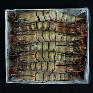 Krewetki Black Tiger 6-8 z głowa (krewetki tygrysie), 800 gram