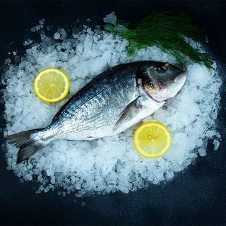 Dorada Royal patroszona - 500g