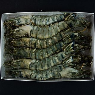 Krewetki Black Tiger 8-12 z głowa (krewetki tygrysie, 800 gram