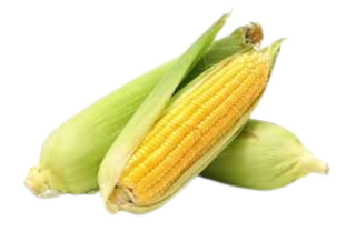 Sweet corn (fresh) x 1 kg