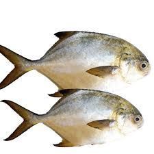 Owere (10Kg)