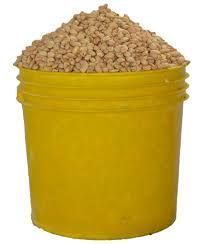Beans (Oloyin) X Paint Bucket