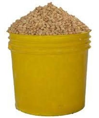 Beans (Oloyin) x paint bucket