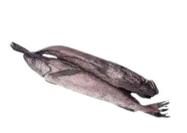 Fish (Hake) X 1Kg