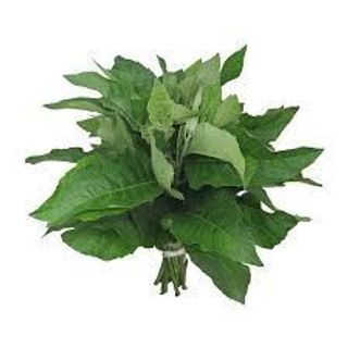 Bitterleaf (bunch)