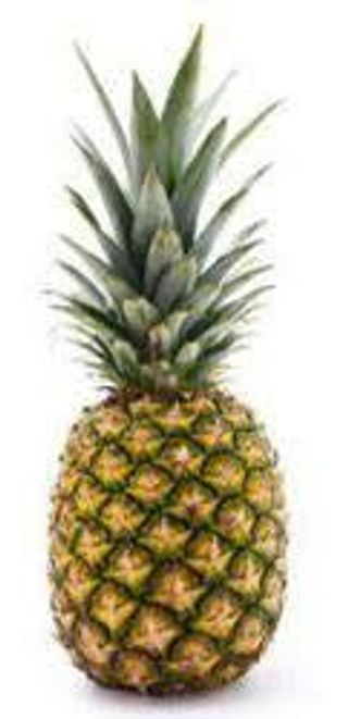 Pineapple (Bendel) x 1 Big