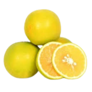 Oranges (x 3)