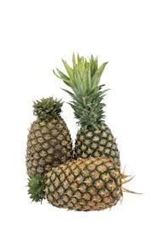 Pineapple(Cotonou) x 3 medium
