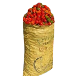 Bawa (Chilli Pepper) X One Bag