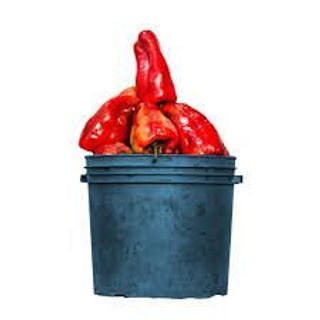 Tatashe ( paint bucket)