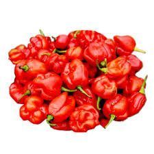 Rodo Red General Merchandise, 1Kg