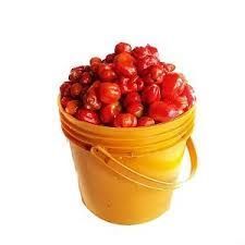 Rodo (Paint Bucket)