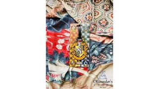 ჰაპლეპაფის ჩანთის თეგი