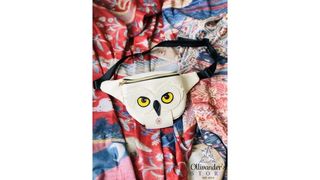 ჰოგვორტსის წერილის წელის ჩანთა