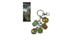 ჰოგვორტსის კლუბების ბრელოკი ჩარმებით (ყუთში)