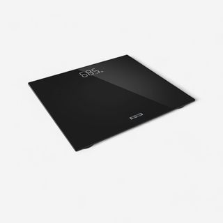 Scale 100 Glass Scale. One size