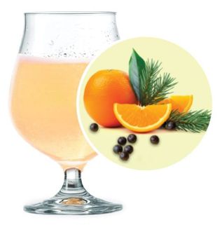 Пиво спеціальне Біртейль Джин-Тонік 5% (1л)