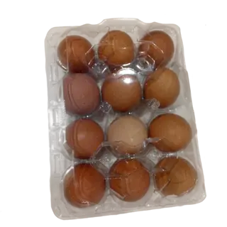 Bbv Eggs ×12