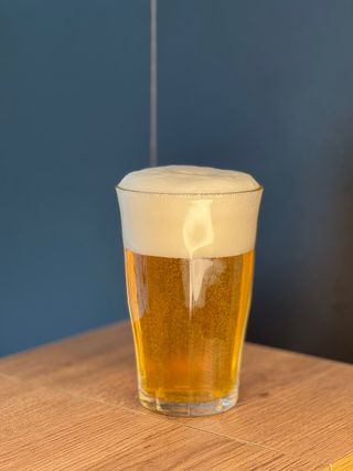 INCLUSION Lager UGMB 1l