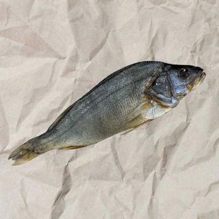 Окунь (50г)