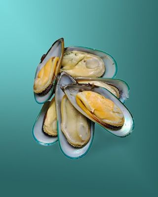 ზელანდიური მიდია