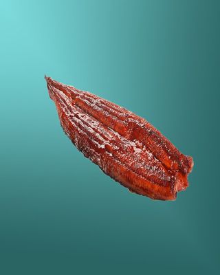 გველთევზა