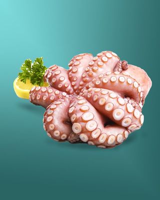 ოკტოპუსი