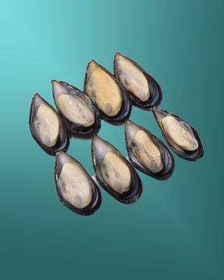 მიდია ნახევარნიჟარაში