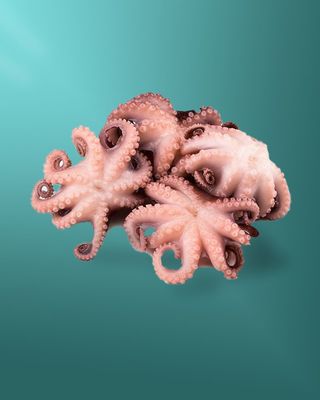 რვაფეხა (60-80)