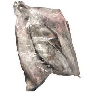 Bogue Essaies Asmak Sud au kg