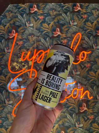 Wild Raccoon - reality is Boring