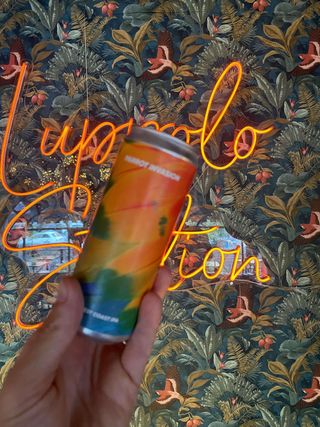 Rebel's - Parrot Invasion