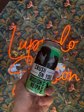 Wild Raccoon - Crush on You