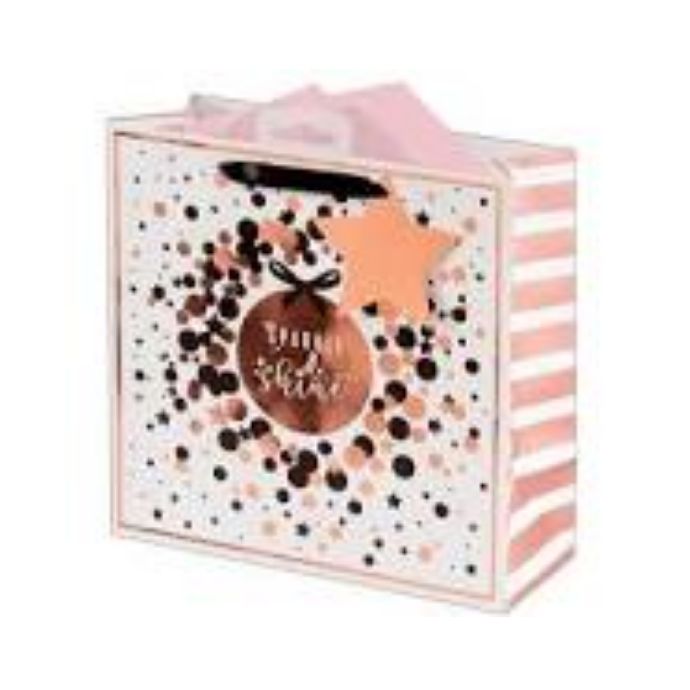 Vee Shine Gift Bag Medium