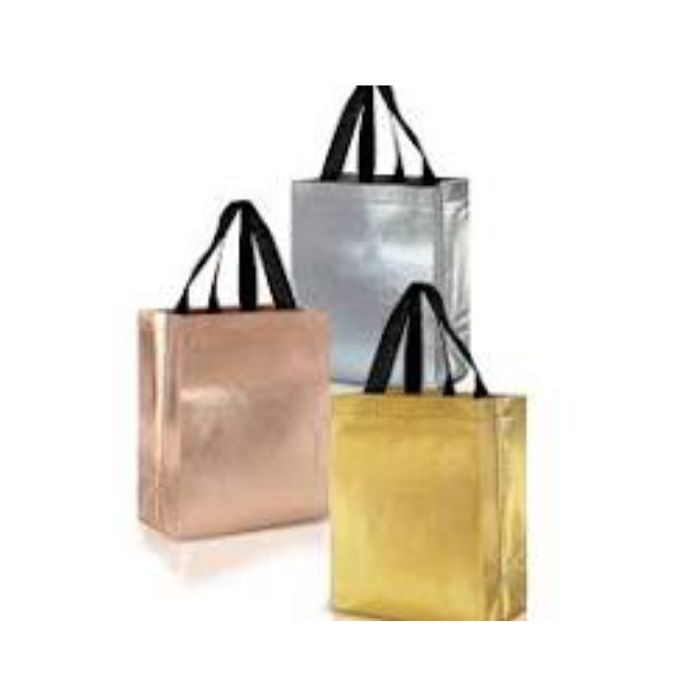 Vee Shine Gift Bag Small