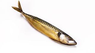 Скумбрия х.к