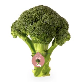 Citrus Broccoli 500G