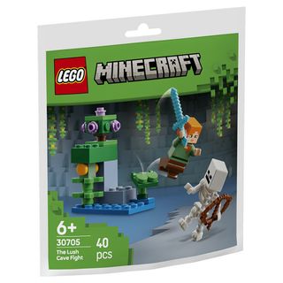 Конструктор LEGO Minecraft Битва в печері - [1244209]