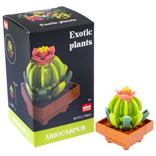 Mattoncini Exotic Plants Ariocarpus
