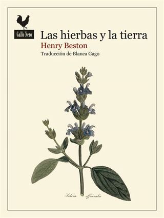 Las hierbas y la tierra