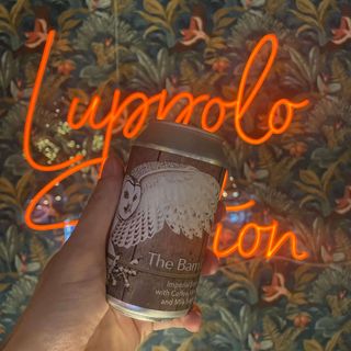 Eredità - The Barn Owl