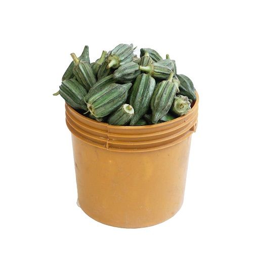 Okro 1 Paint