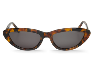 Cheetah Tortoise - Seongsu - With Classical Lenses